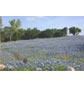 Beautiful Hill Country Ranch, Burnet/Marble Falls