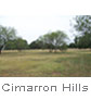 Lot #109, 206 Green Leaf Lane, Cimarron Hills